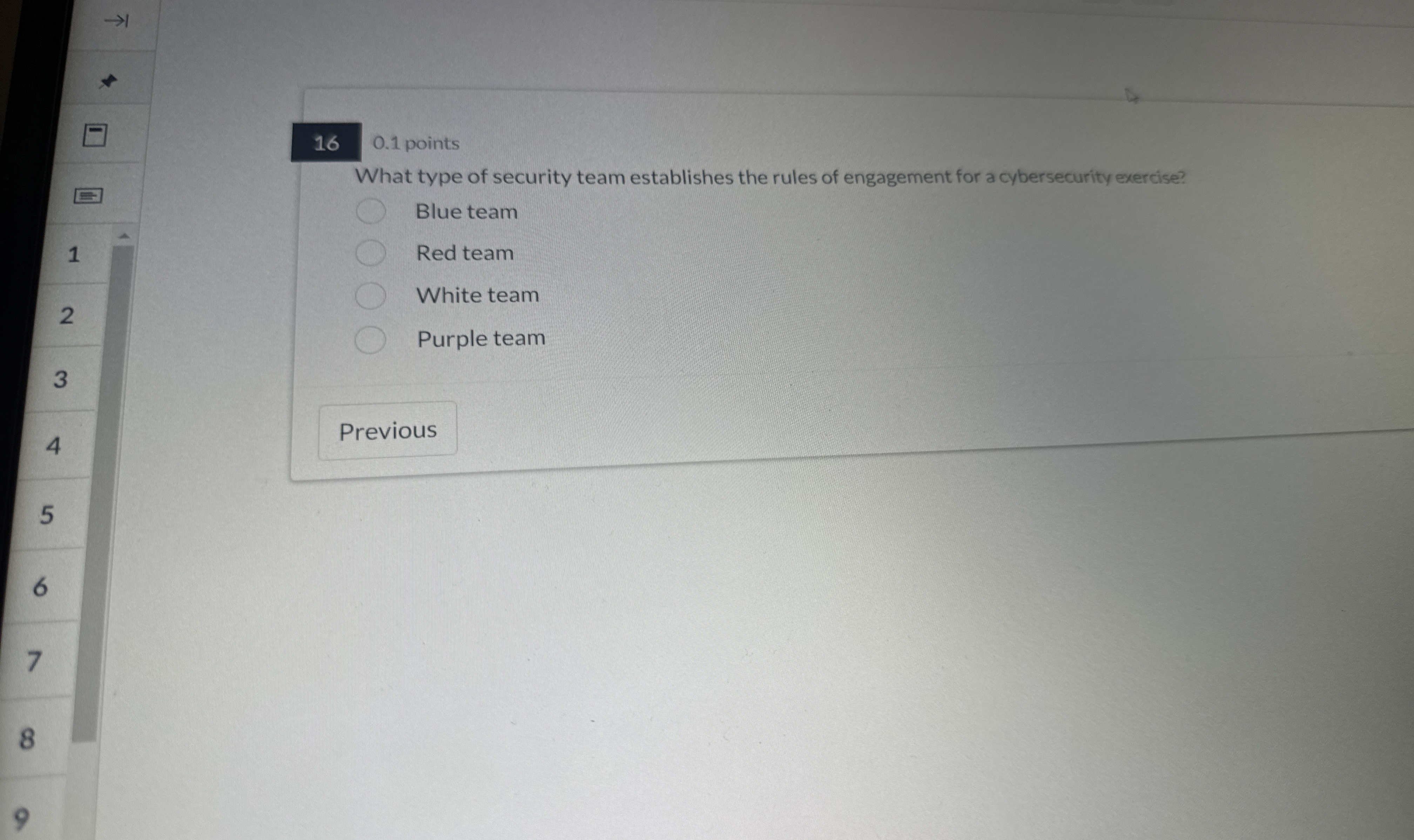 0 . 1 points What type of security team
