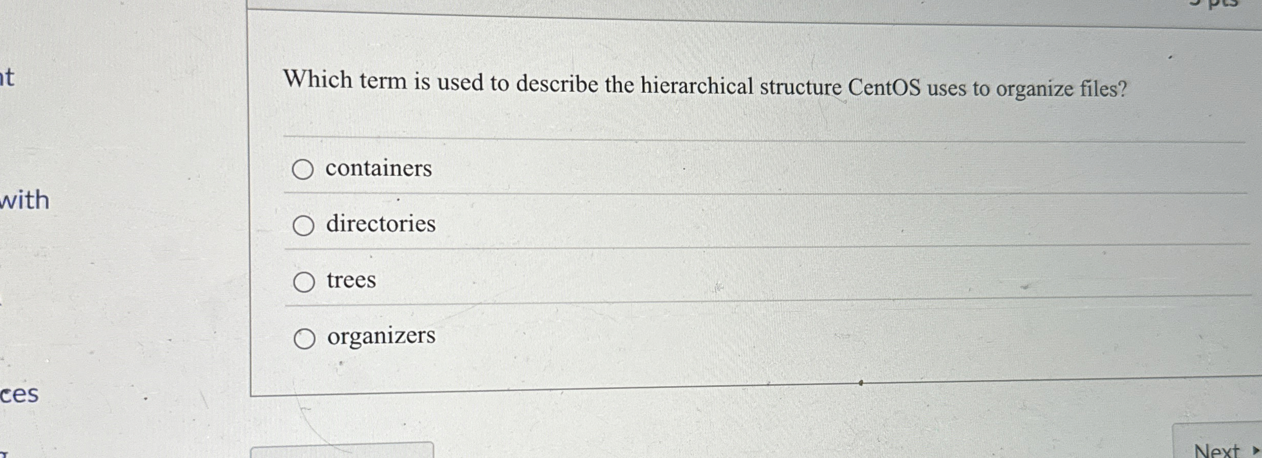 Which term is used to describe the hierarchical