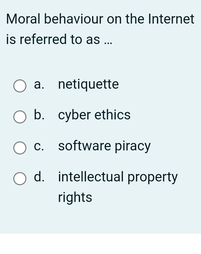 Moral behaviour on the Internet is referred to as