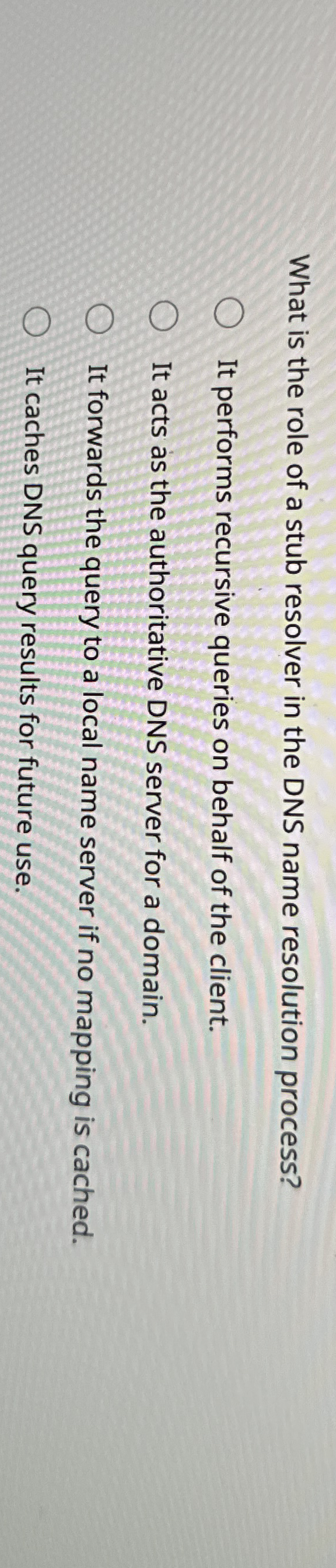 What is the role of a stub resolver in the DNS