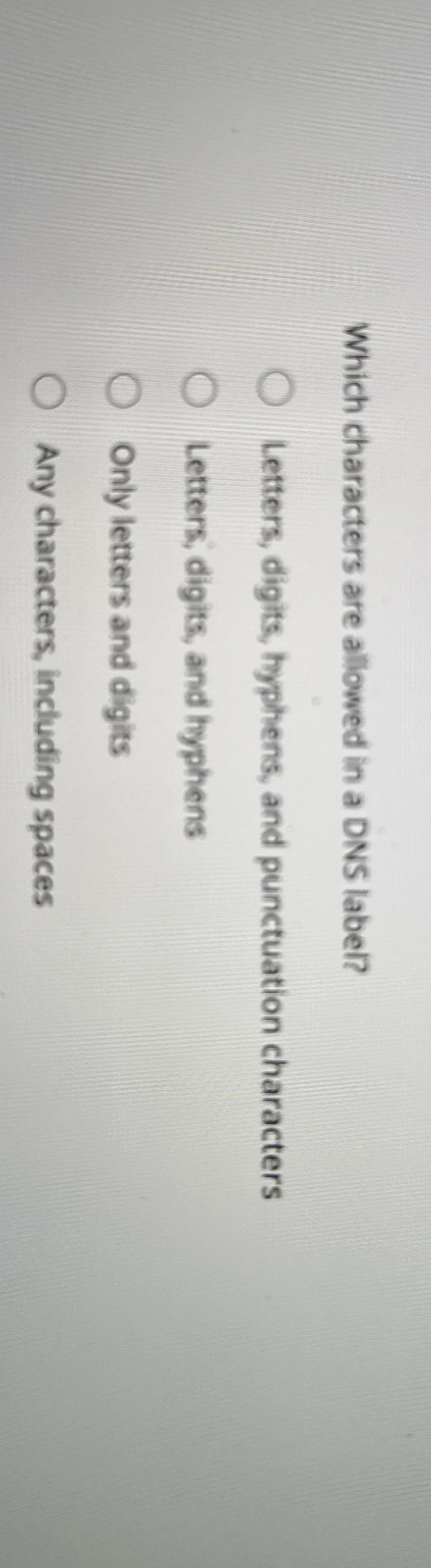 Which characters are allowed in a DNS label?