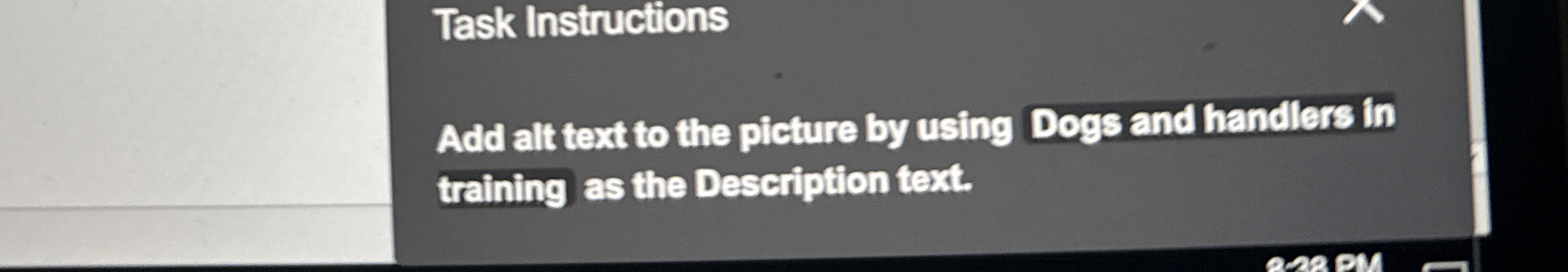 Task Instructions Add alt text to the picture by