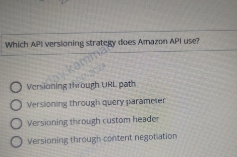 Which API versioning strategy does Amazon API