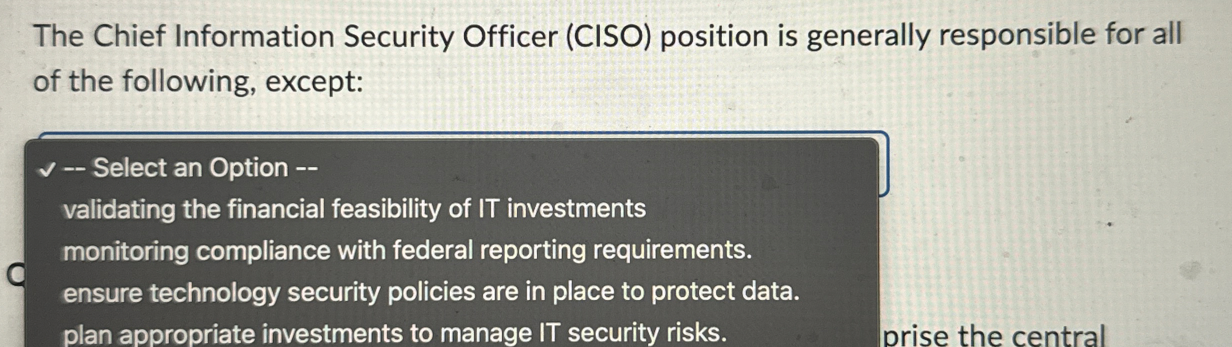 The Chief Information Security Officer ( CISO )