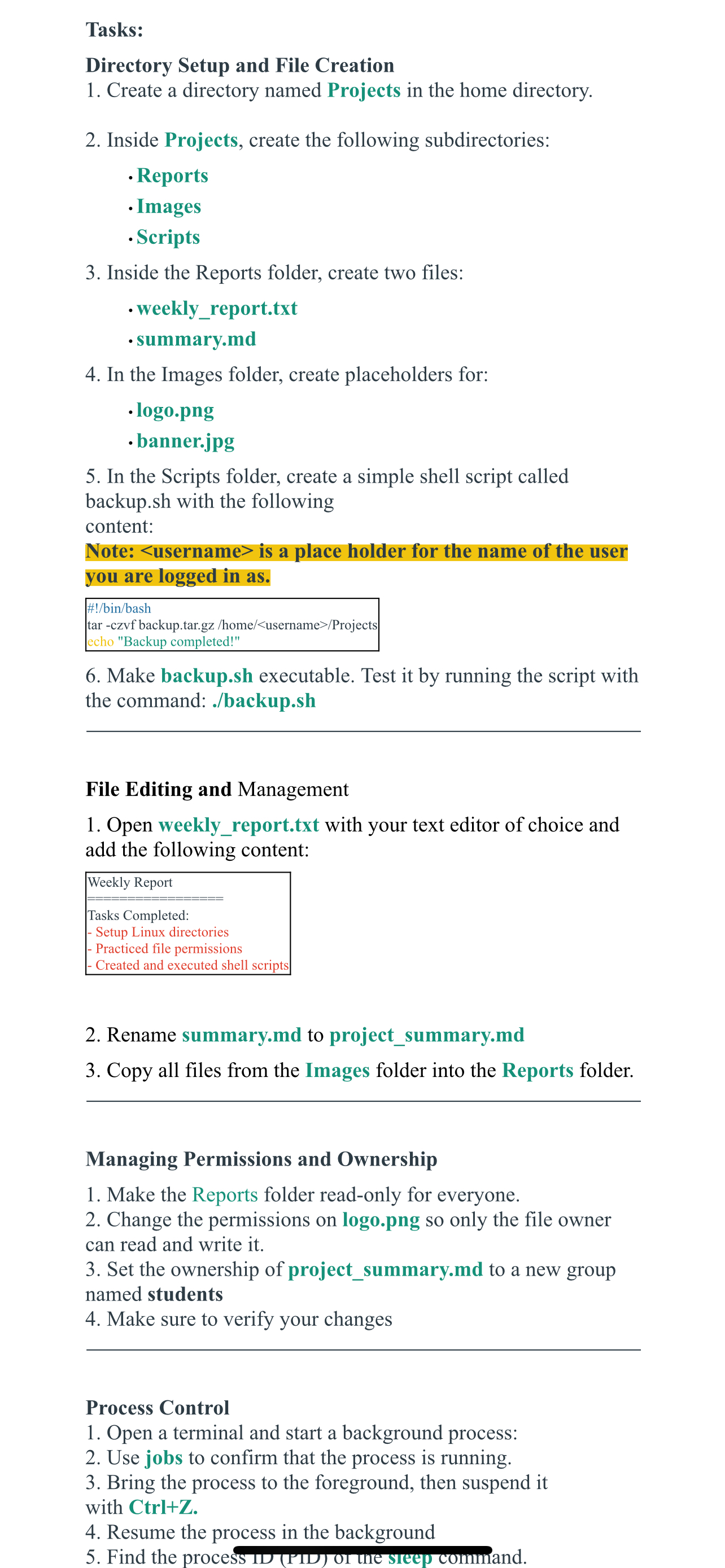 Tasks: Directory Setup and File Creation Create a