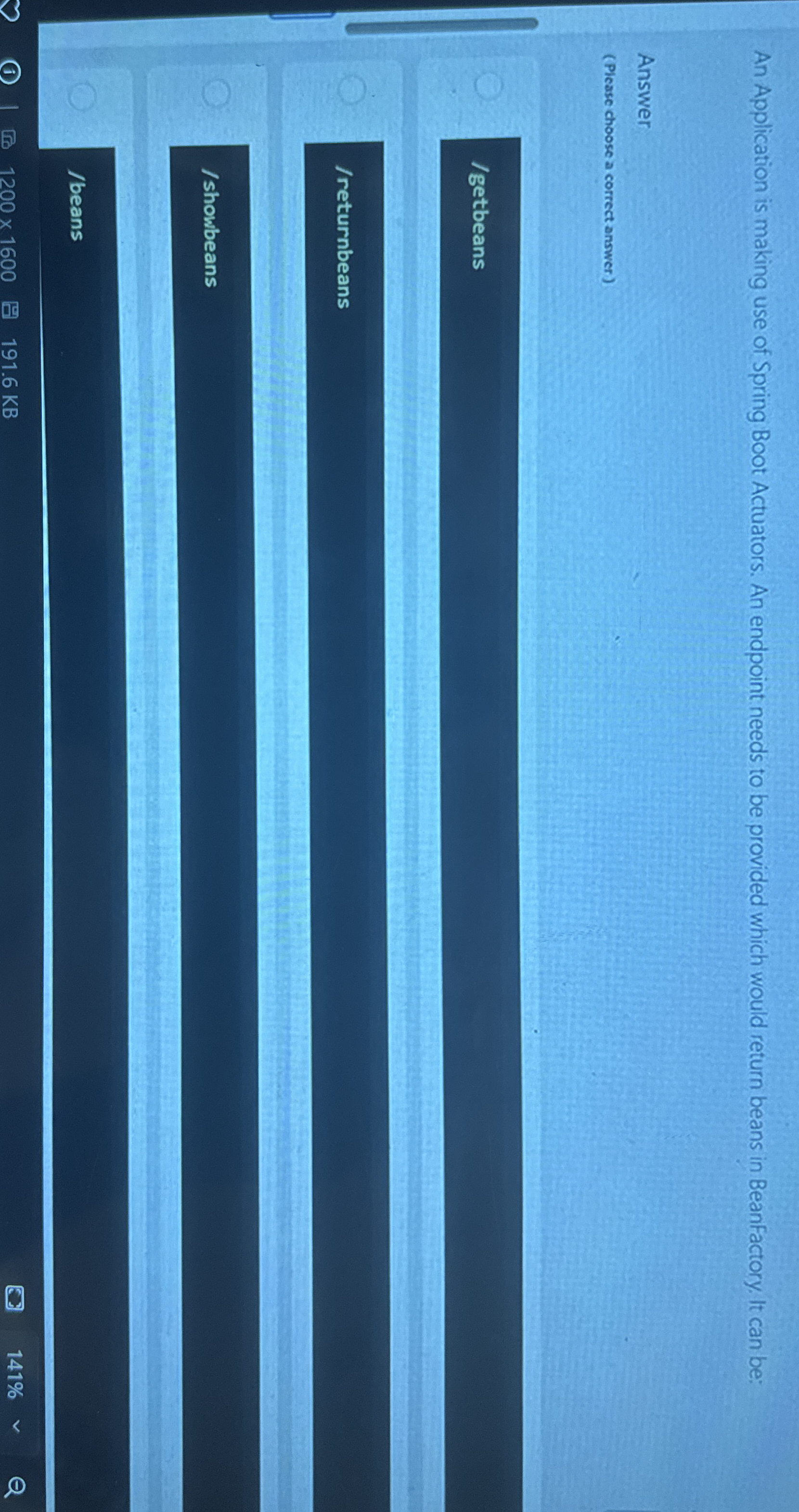 An Application is making use of Spring Boot