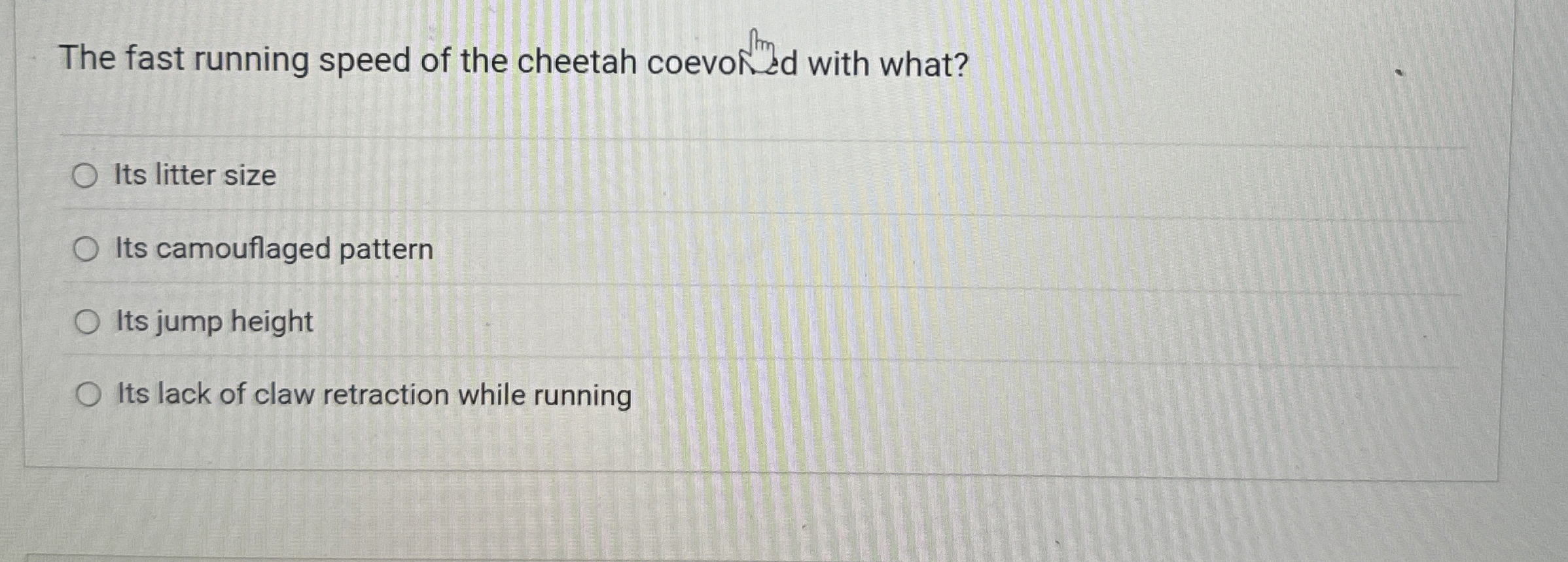 The fast running speed of the cheetah coevorim