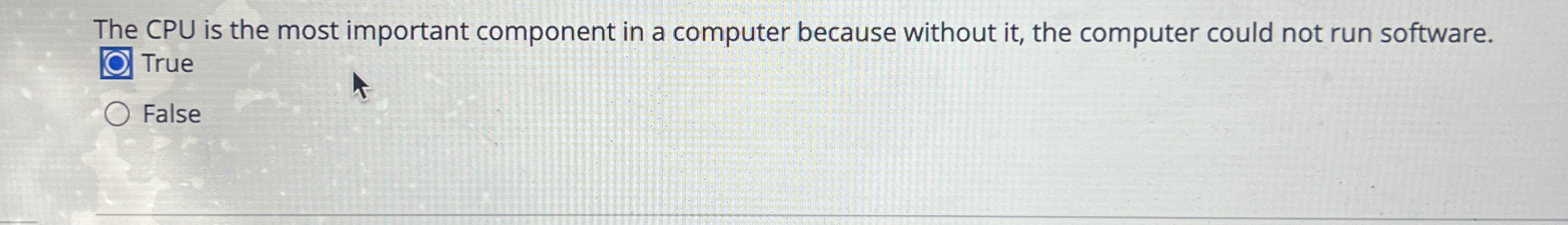 The CPU is the most important component in a