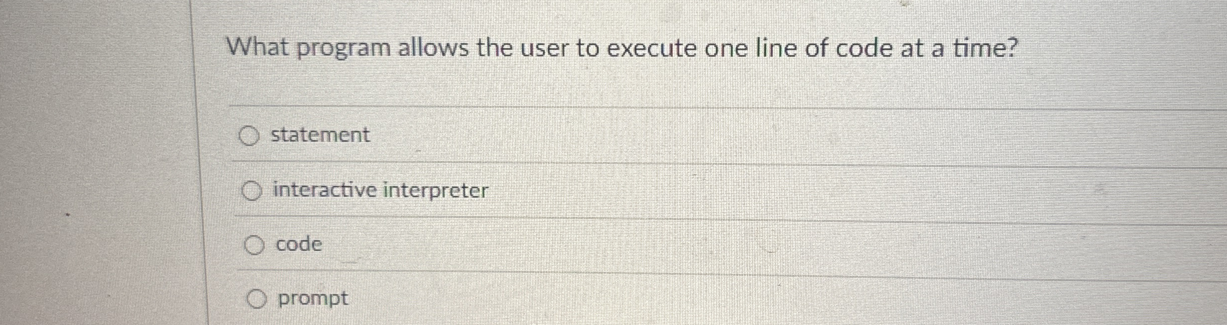 What program allows the user to execute one line