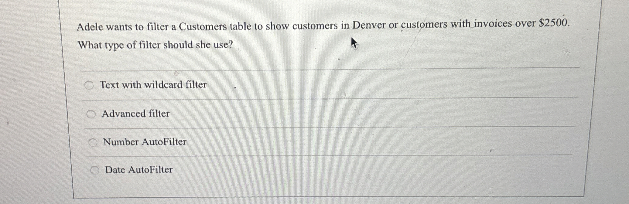 Adele wants to filter a Customers table to show