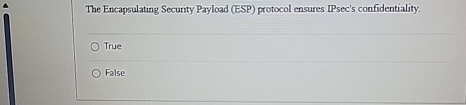 The Encapsulating Security Payload ( ESP )