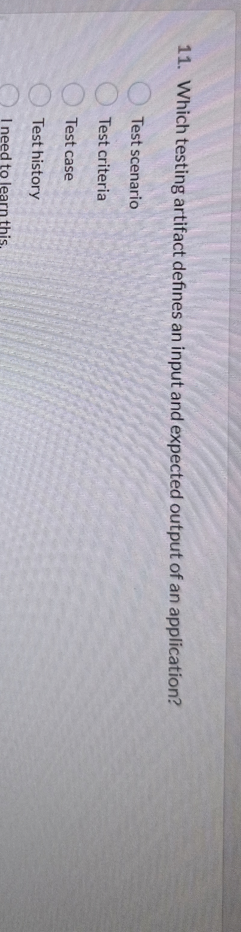 Which testing artifact defines an input and