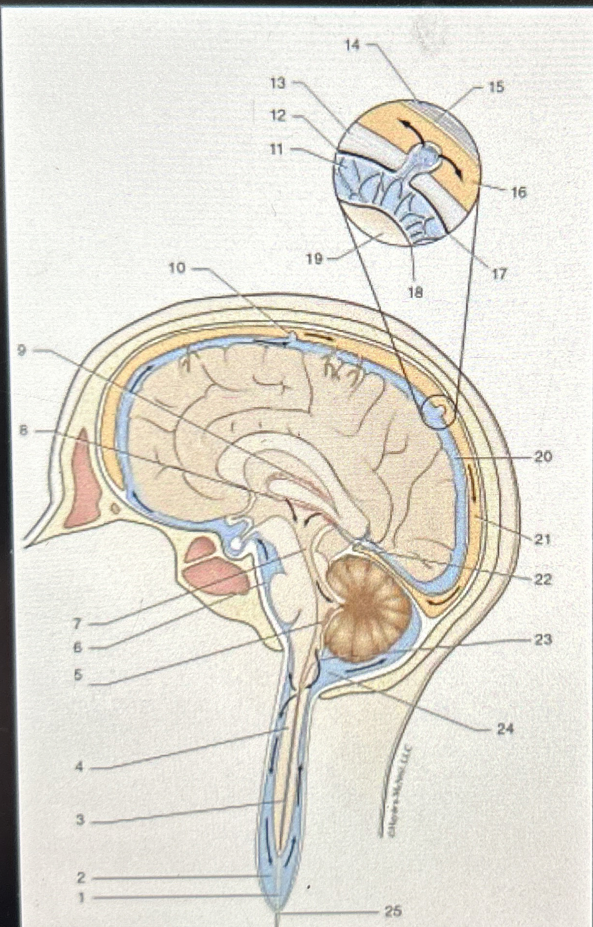 What are numbers 1 3 and 1 4