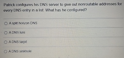 Patrick configures his DNS server to give out