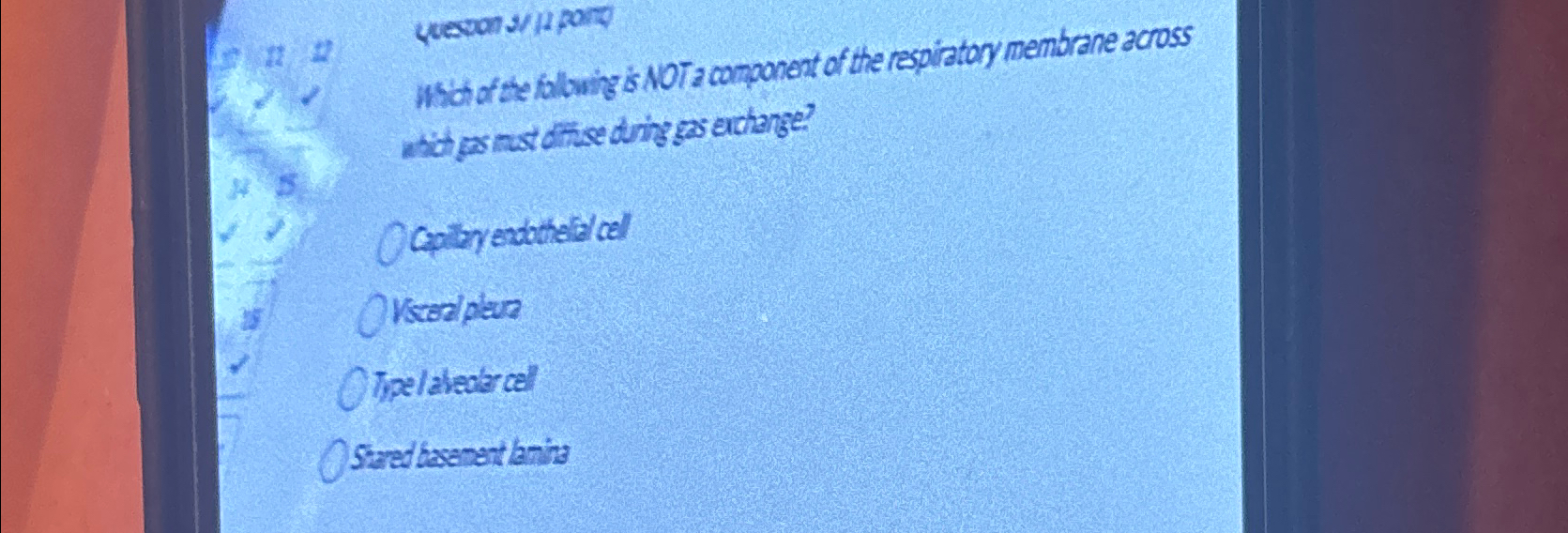 yeevons / 1 1 pory What of the falwing is NOT a