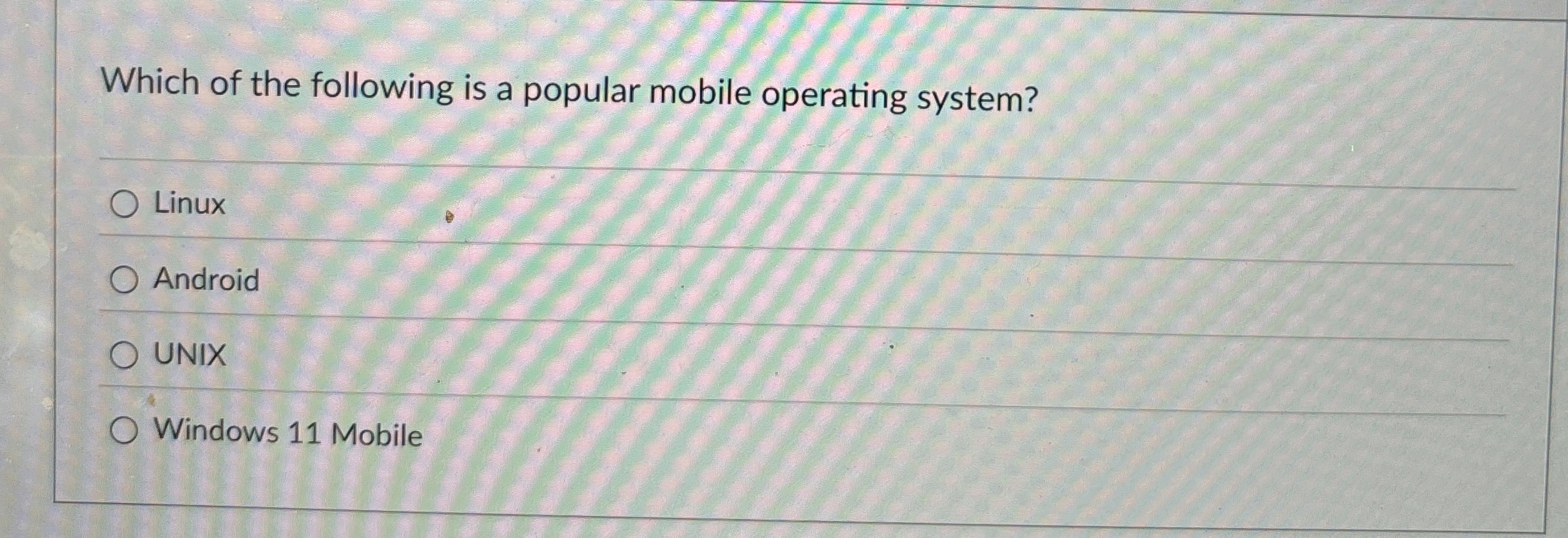 Which of the following is a popular mobile