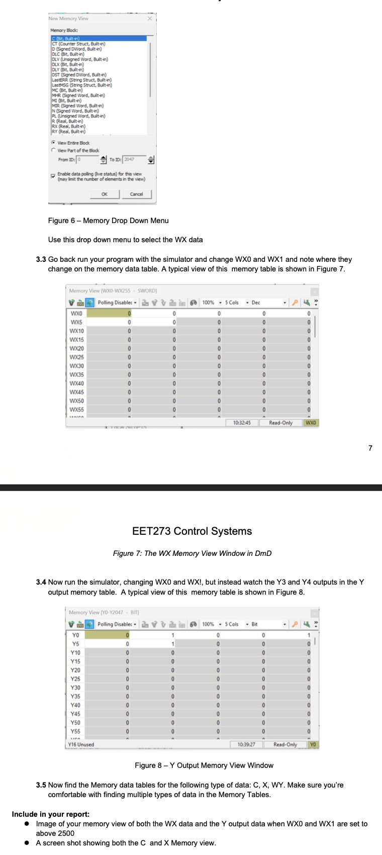 Include in your report: Image of your memory view