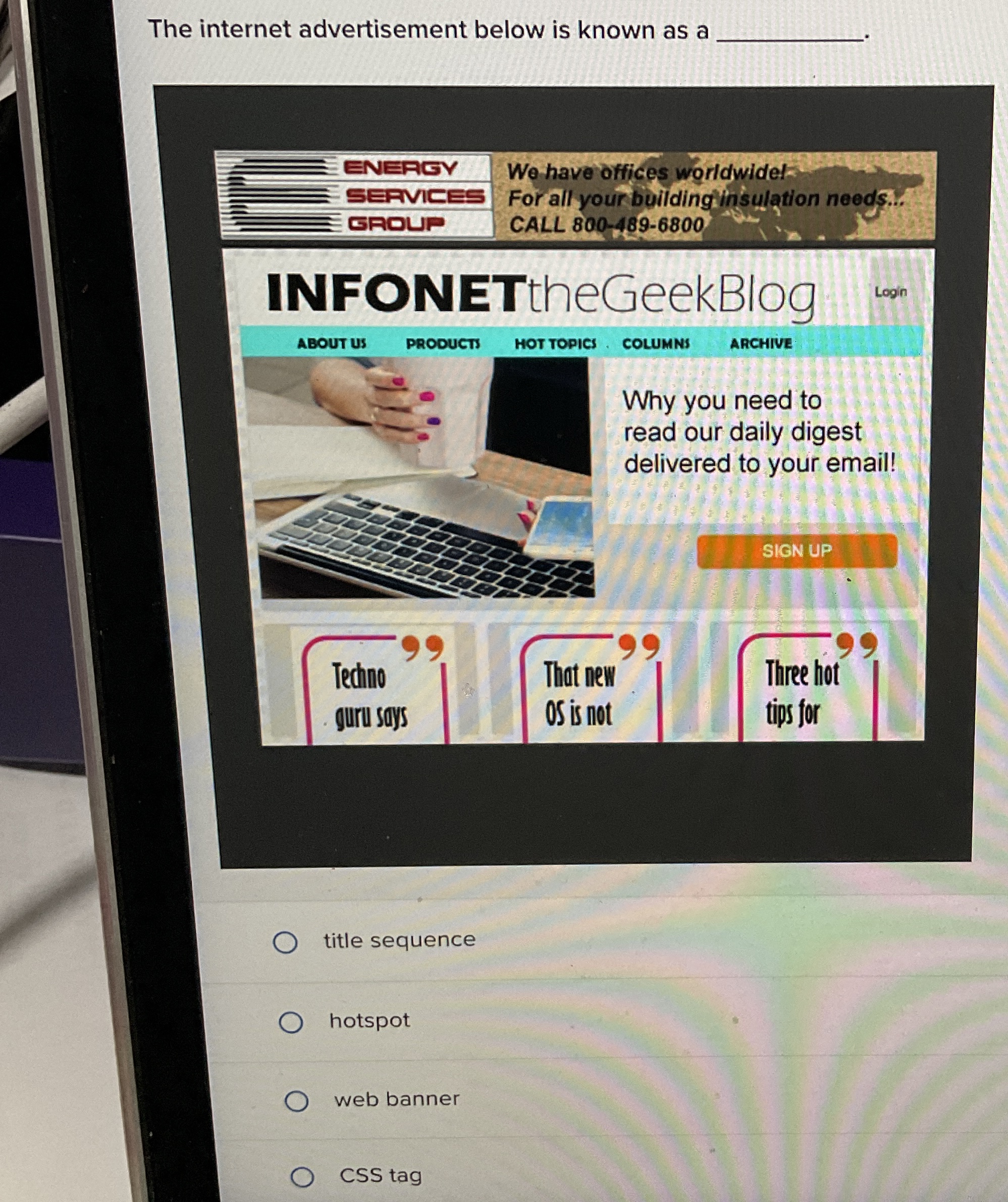 The internet advertisement below is known as a