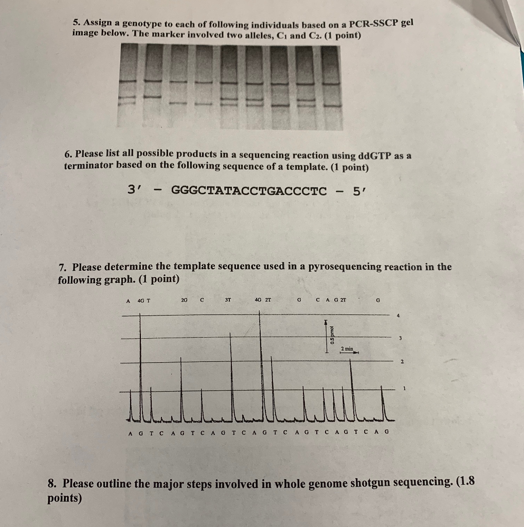 anser this for read sequence and template # 7