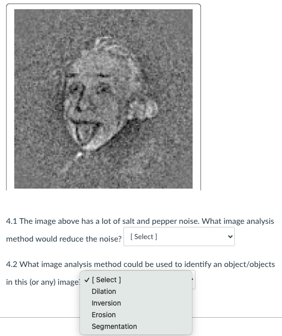 4 . 1 The image above has a lot of salt and