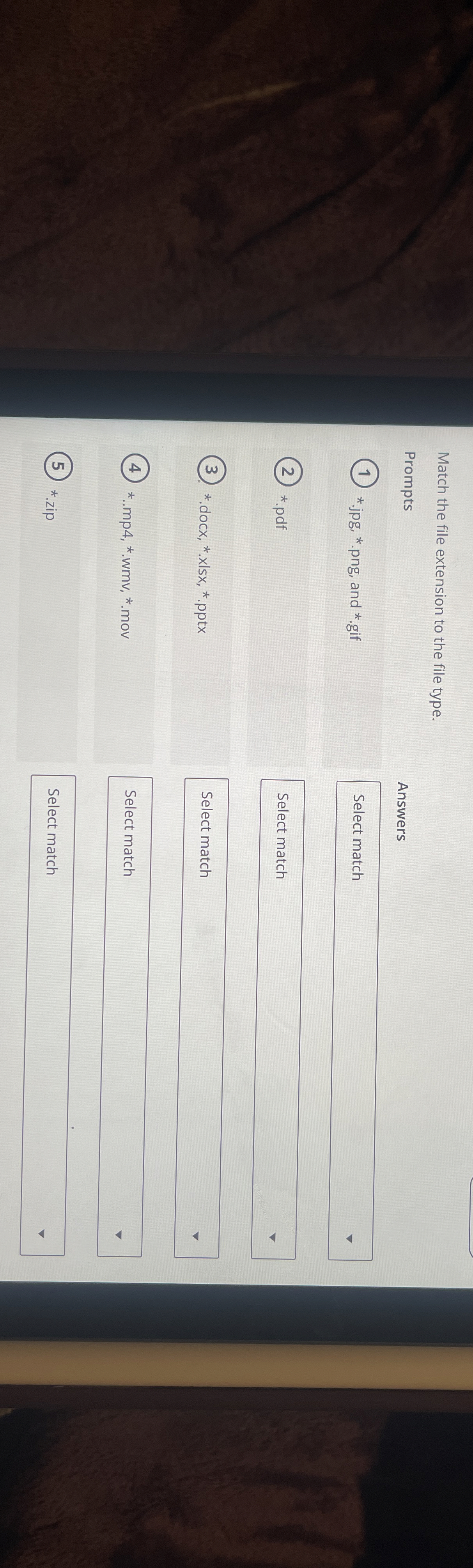 Match the file extension to the file type.