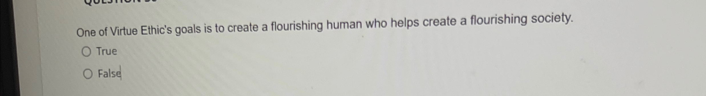 One of Virtue Ethic's goals is to create a