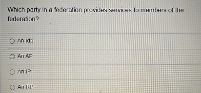 Which party in a federation provides services to