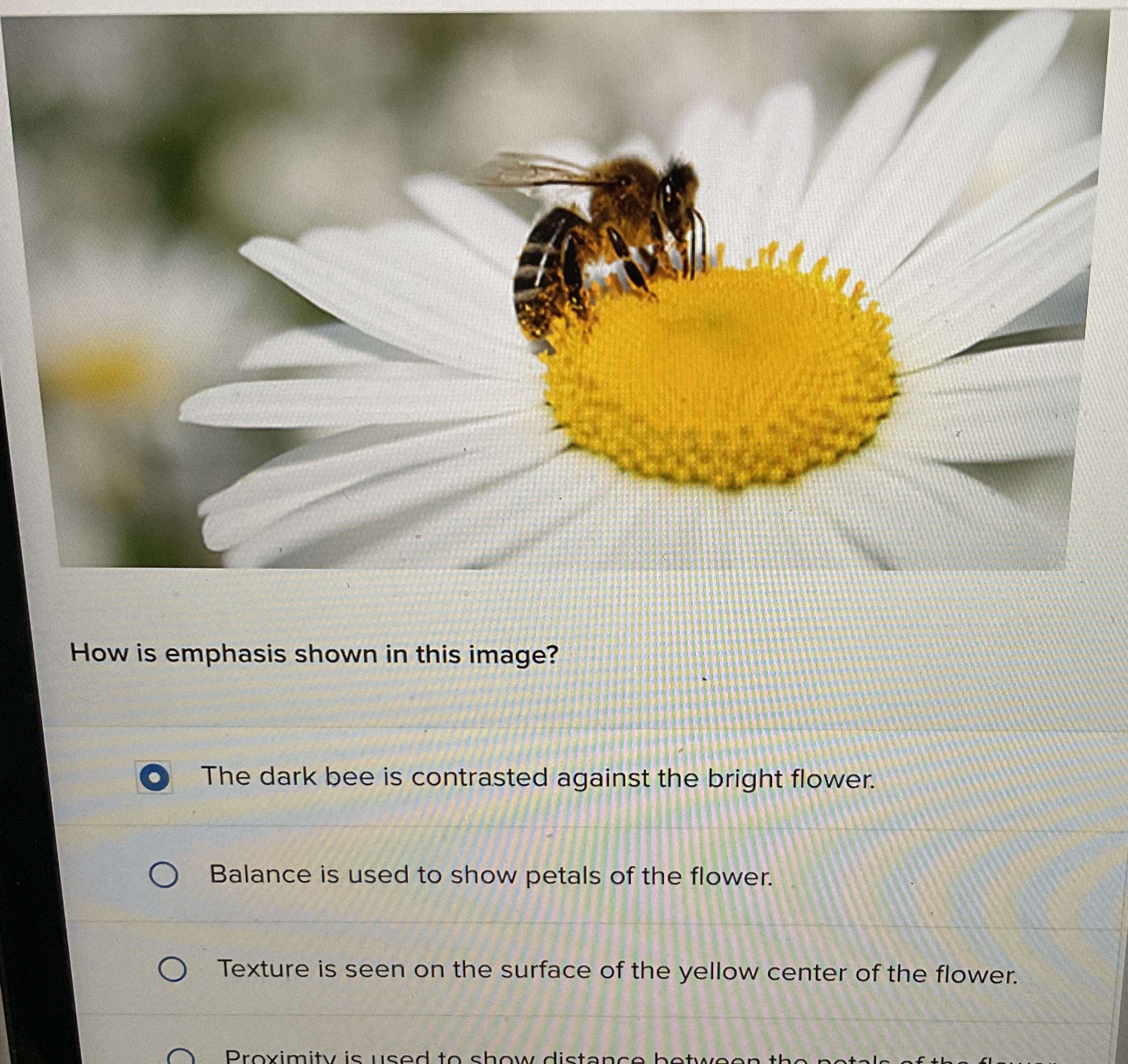 How is emphasis shown in this image? The dark bee