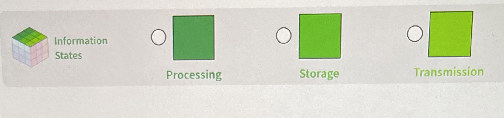 Information States Processing Storage Transmission