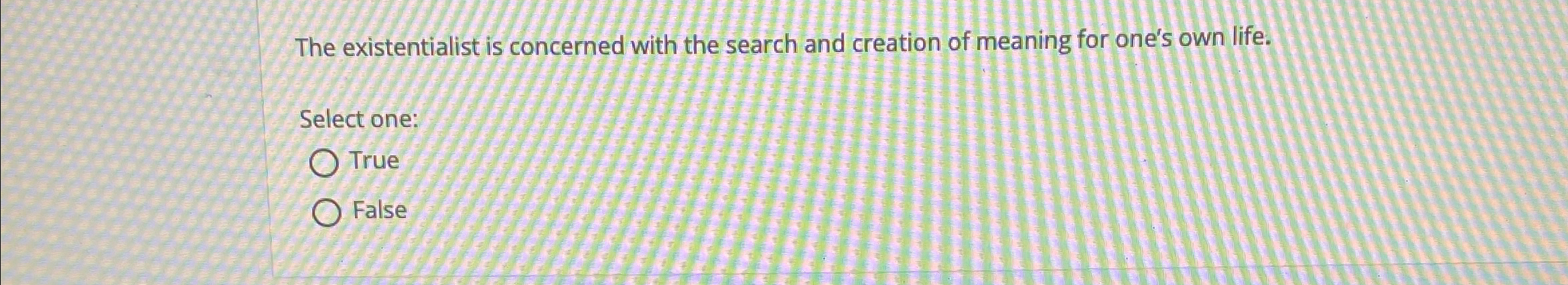 The existentialist is concerned with the search