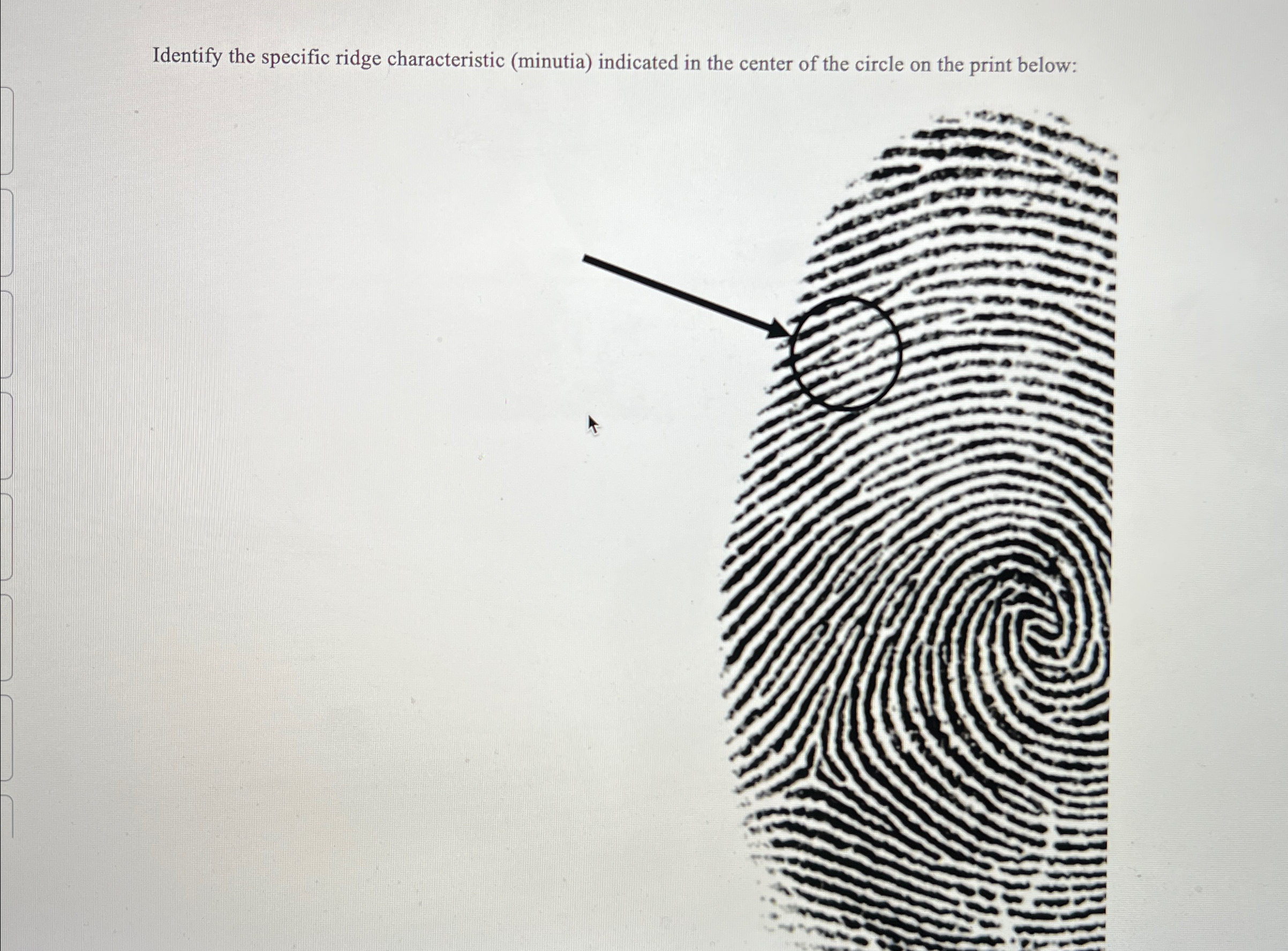 Identify the specific ridge characteristic (