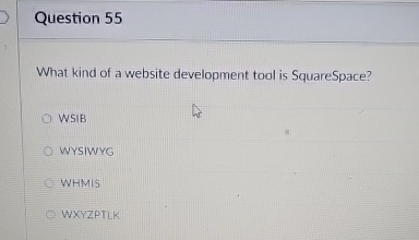 Question 5 5 What kind of a website development