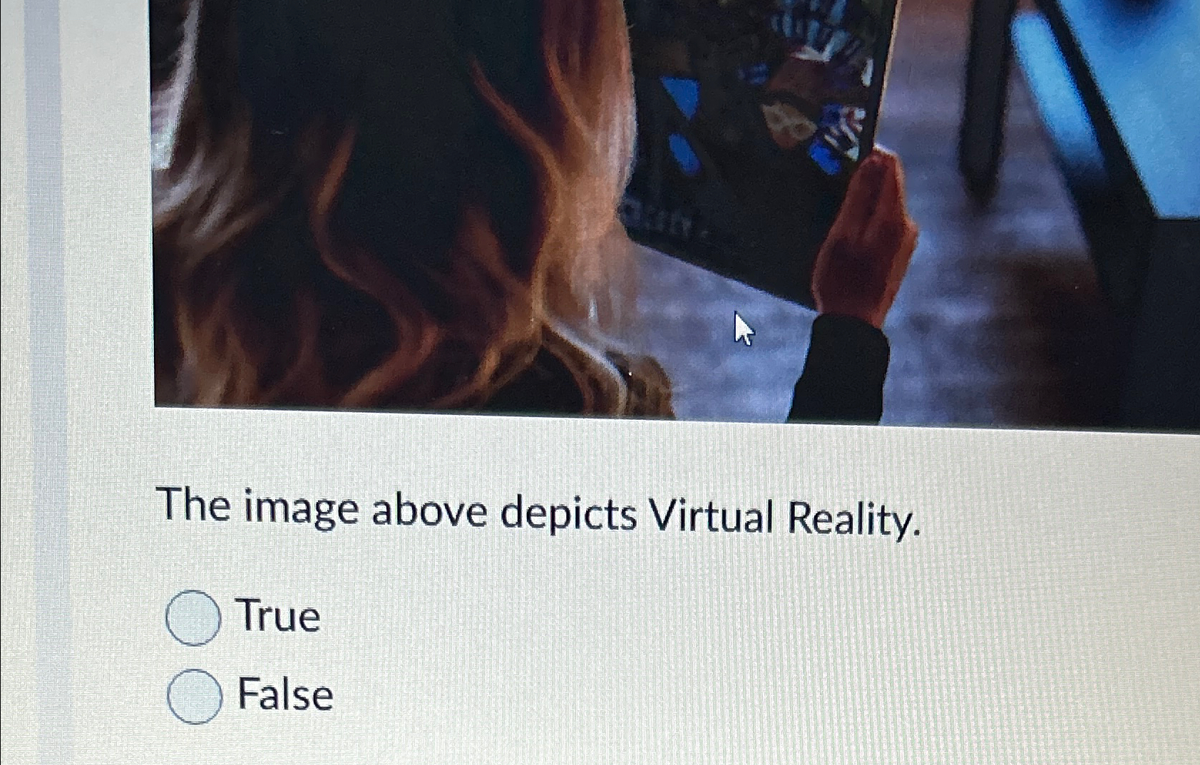  The image above depicts Virtual Reality. True False 