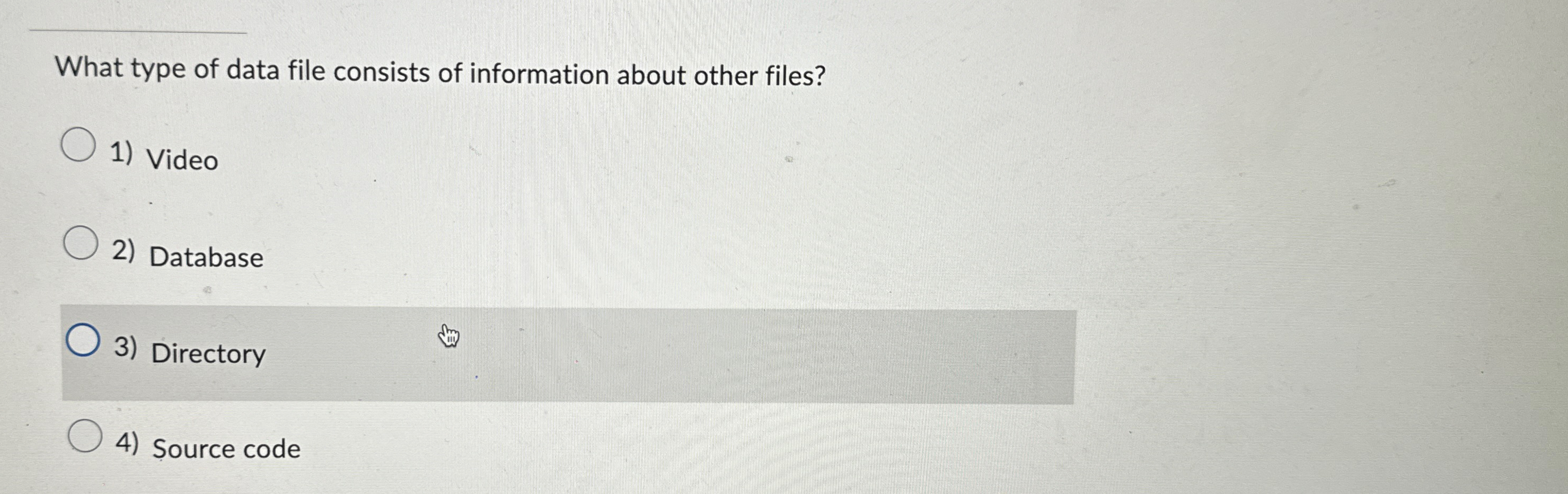 What type of data file consists of information