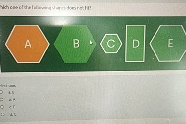 which one of the following shapes does not fit?