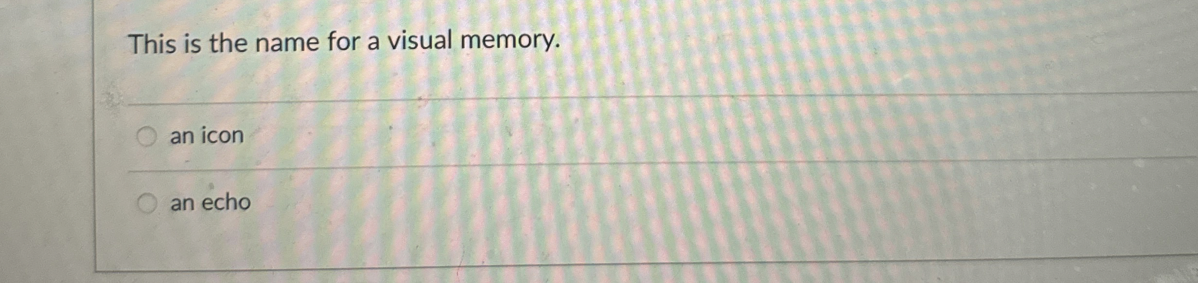 This is the name for a visual memory. an icon an