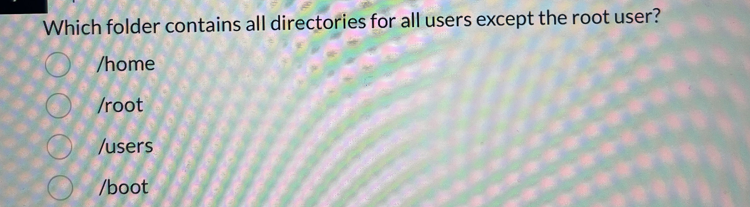 Which folder contains all directories for all