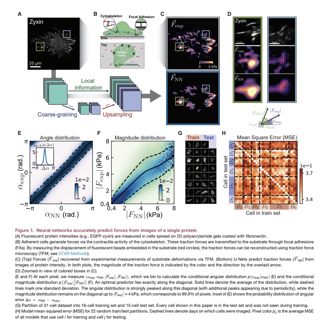 A D G H Figure 1 . Neural networks accurately