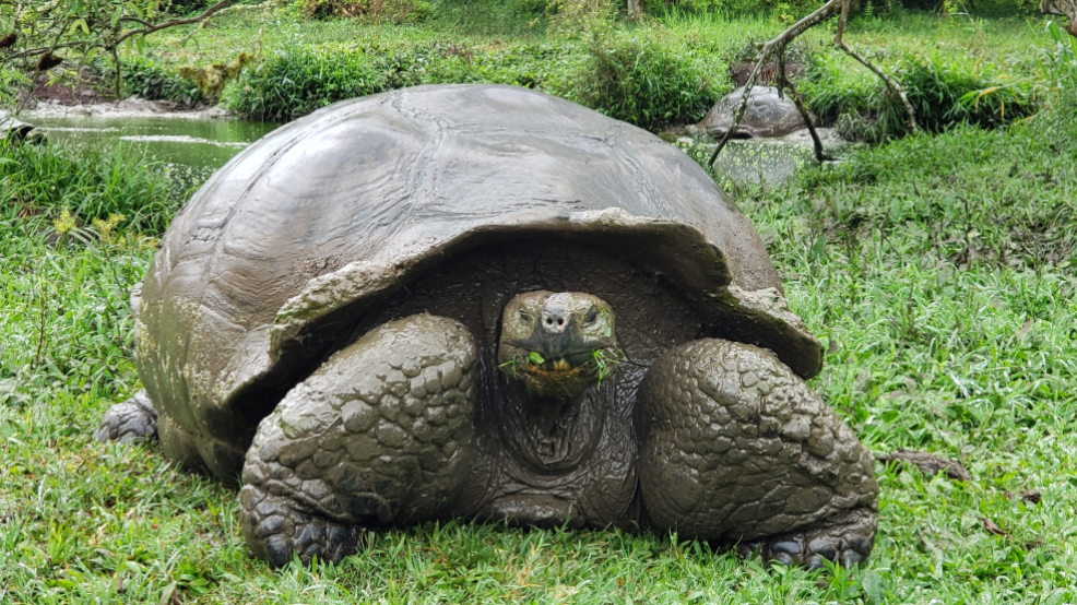 - Write and implement the program that copies a