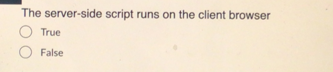 Both CSS and JavaScript do not have the