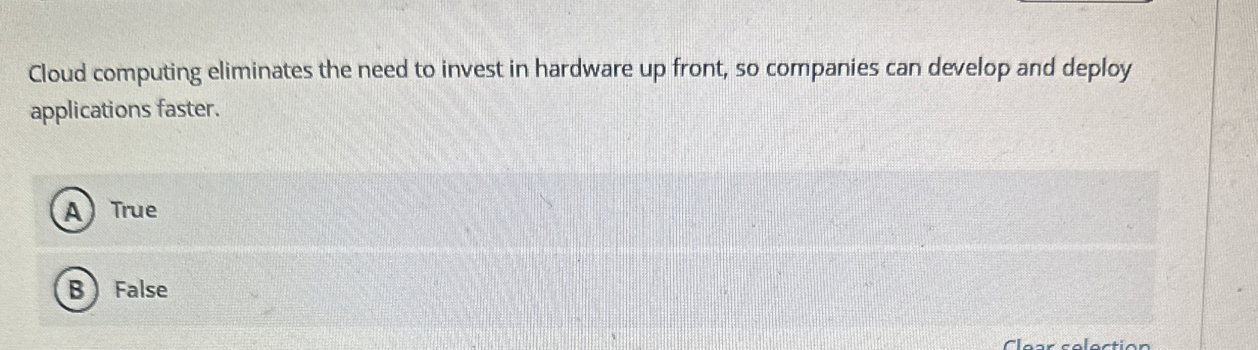 Cloud computing eliminates the need to invest in