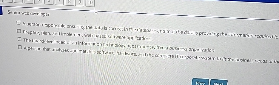 Senior web developer A person responsible