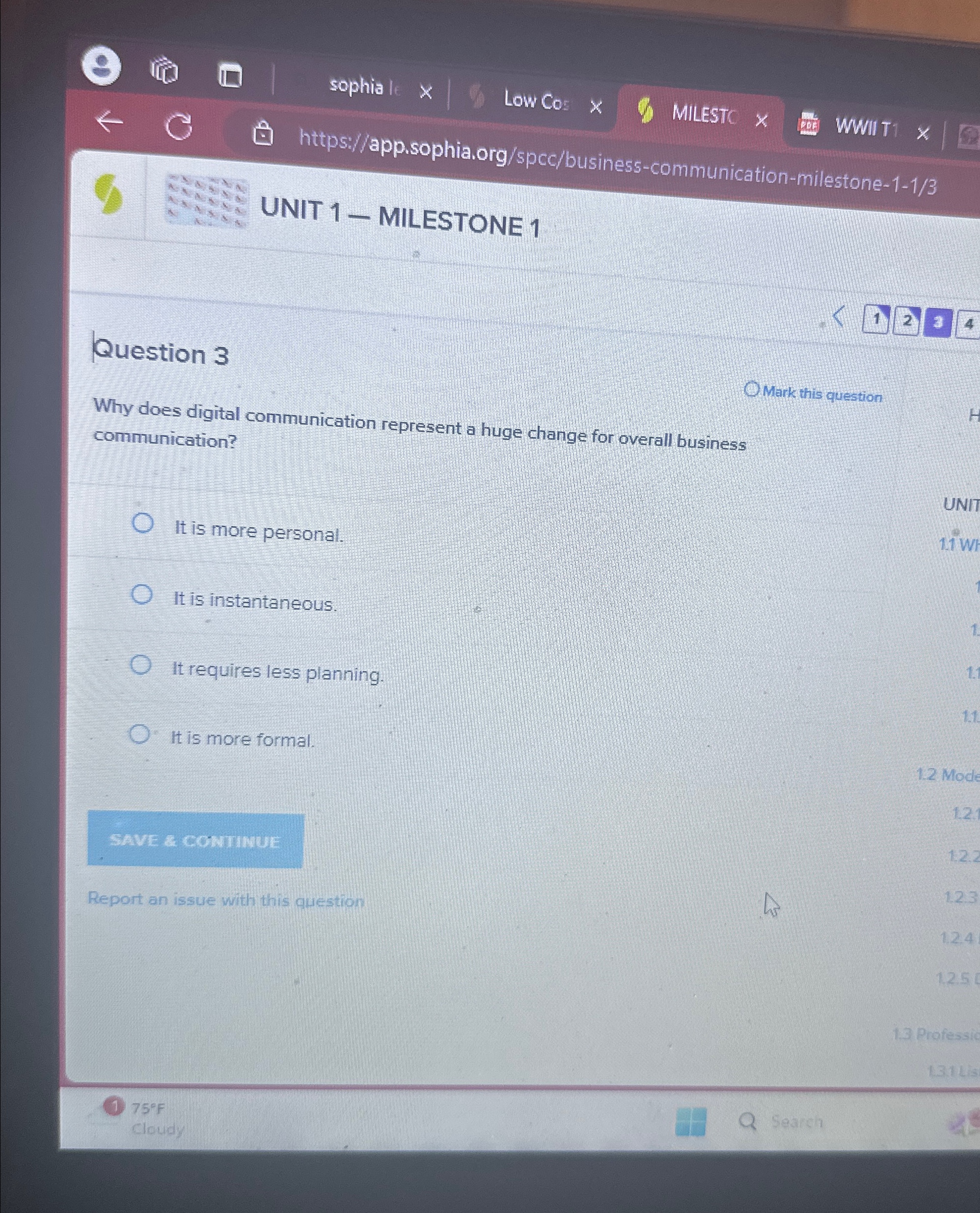 sophia le Low Cos MILESTC IIT 1 - MILESTONE 1