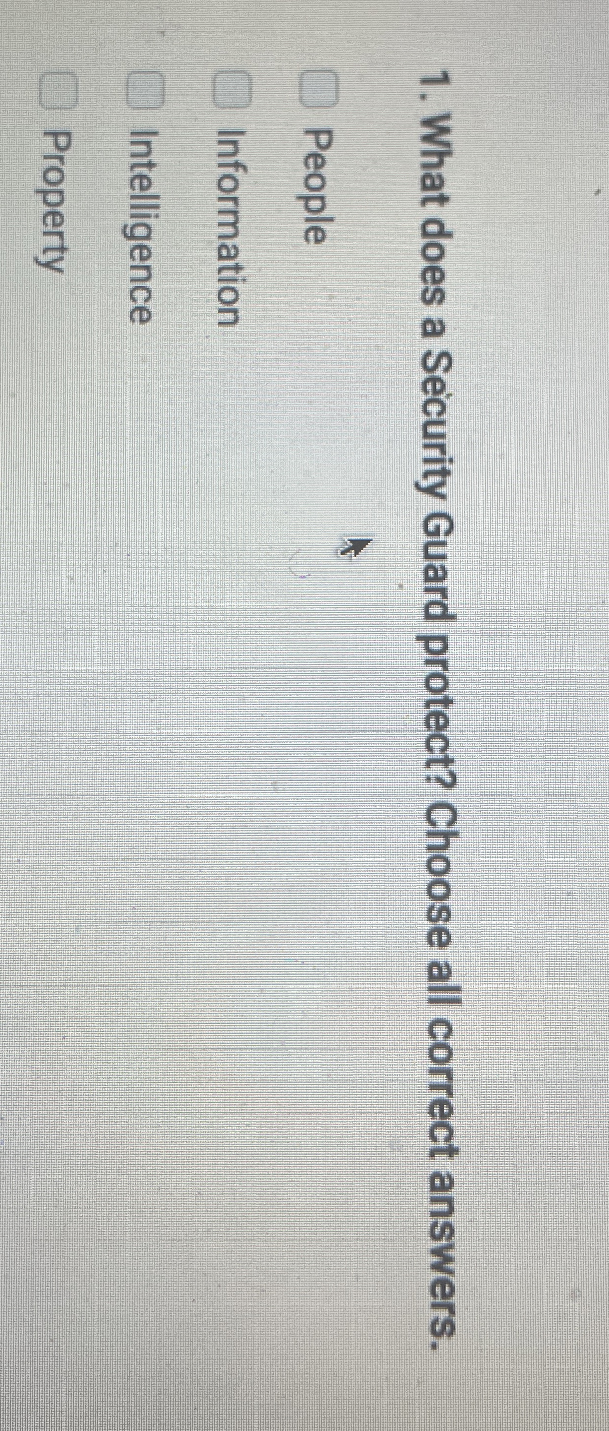 What does a Security Guard protect? Choose all