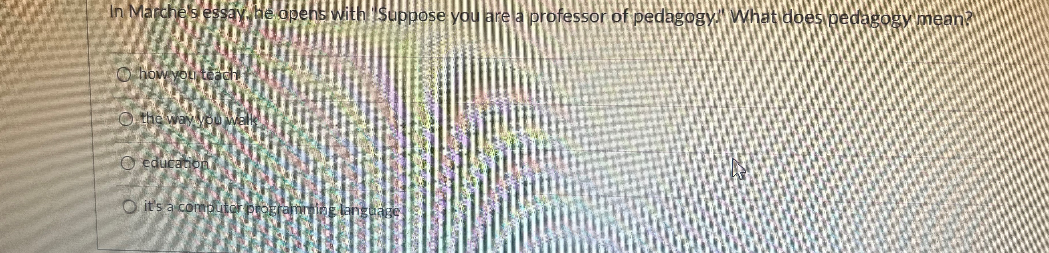 In Marche's essay, he opens with 