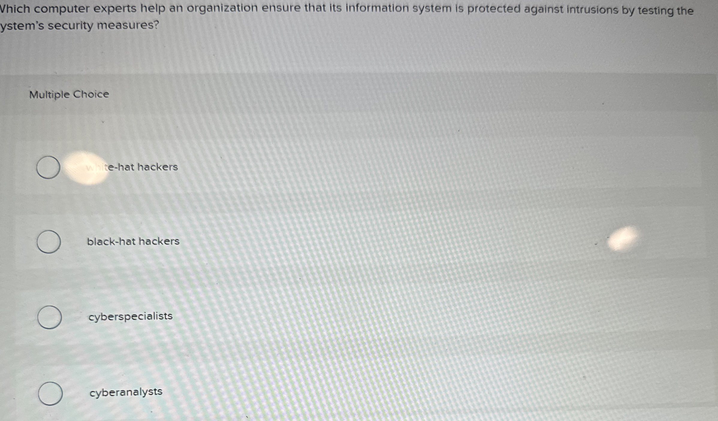 Vhich computer experts help an organization