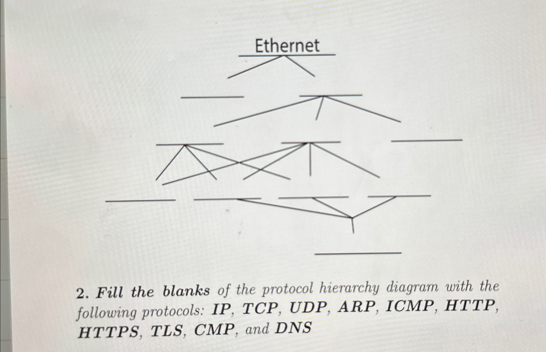 Fill the blanks of the protocol hierarchy diagram