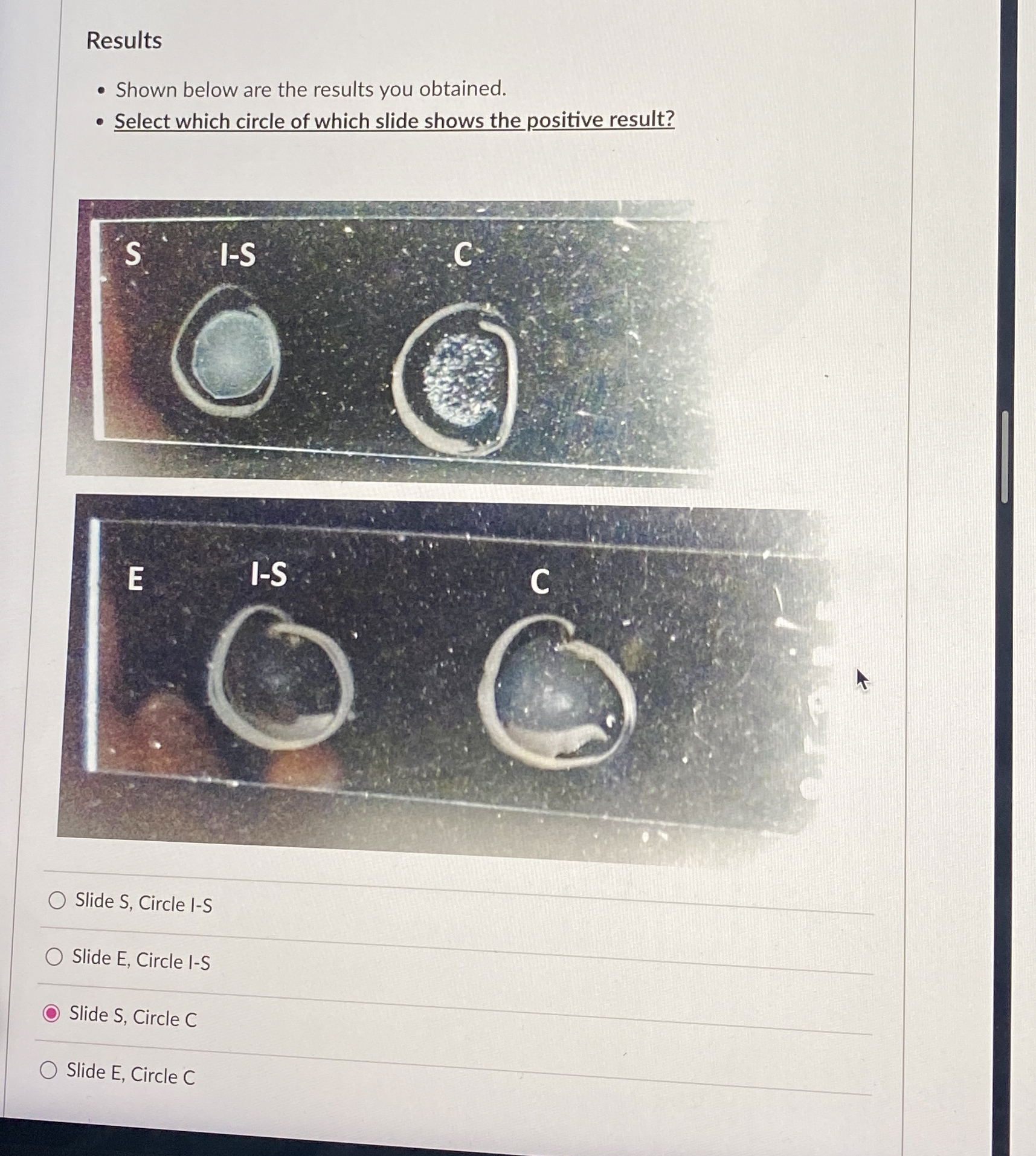 Results Shown below are the results you obtained.