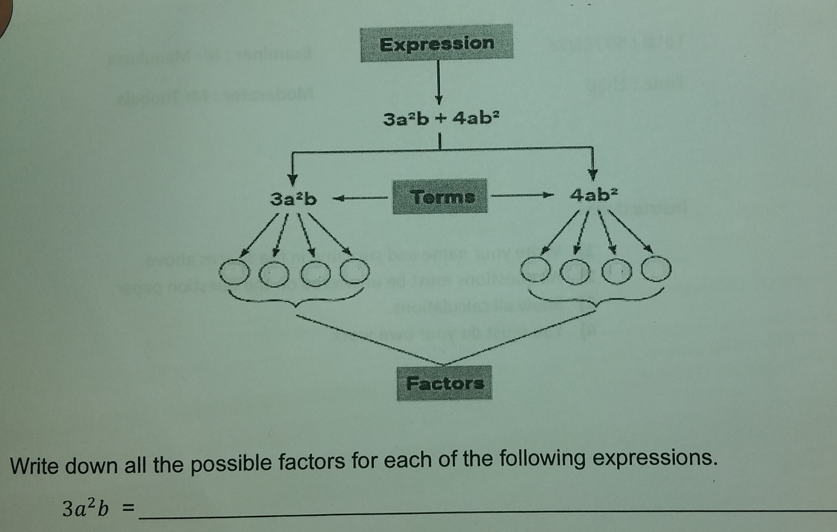 Write down all the possible factors for each of