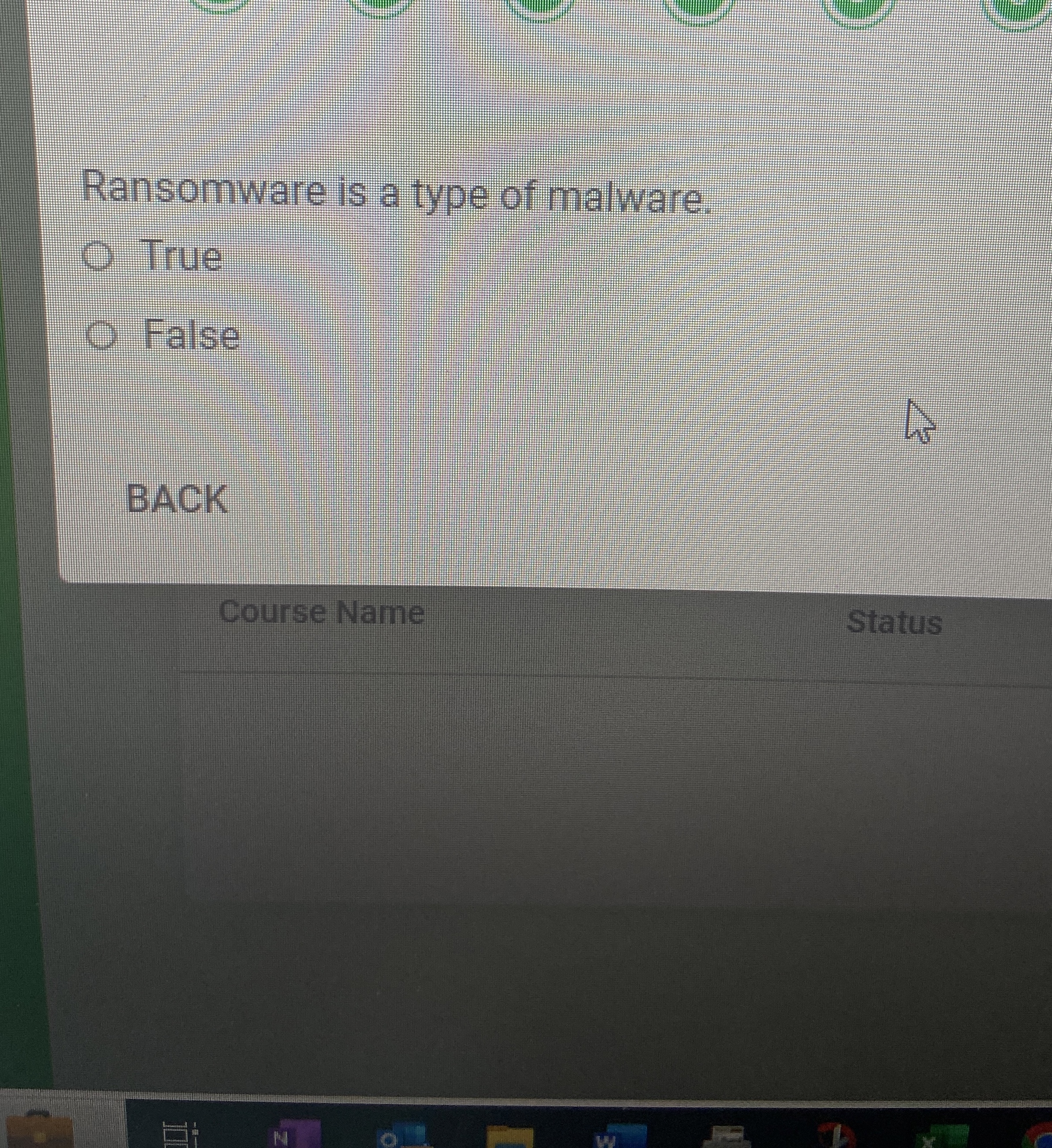 Ransomware is a type of malware. True False BACK